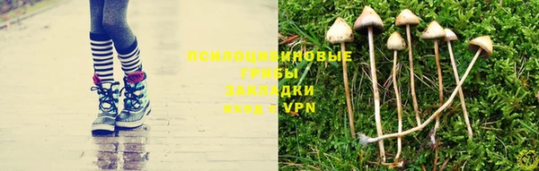 MDMA Дмитровск