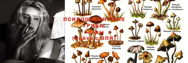 дистиллят марихуана Дмитриев